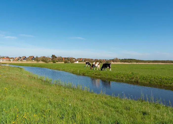 With View Over The Park De Buitenplaats Callantsoog
