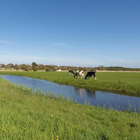 Buitenplaats 42 - *