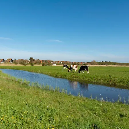 With View Over The Park De Buitenplaats Callantsoog